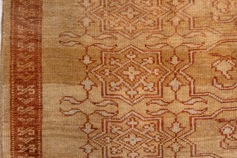 Vintage Kars Area Rug (6' x 10')